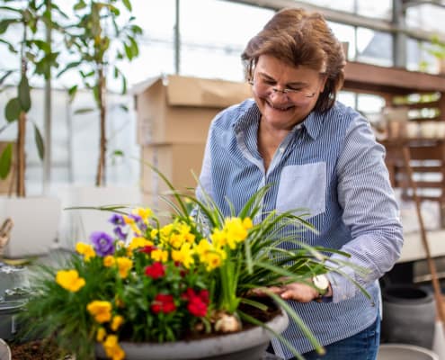 Eine Floristin bereitet einen Topf mit Zimmerpflanzen vor